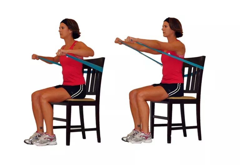 seated chest press exercise